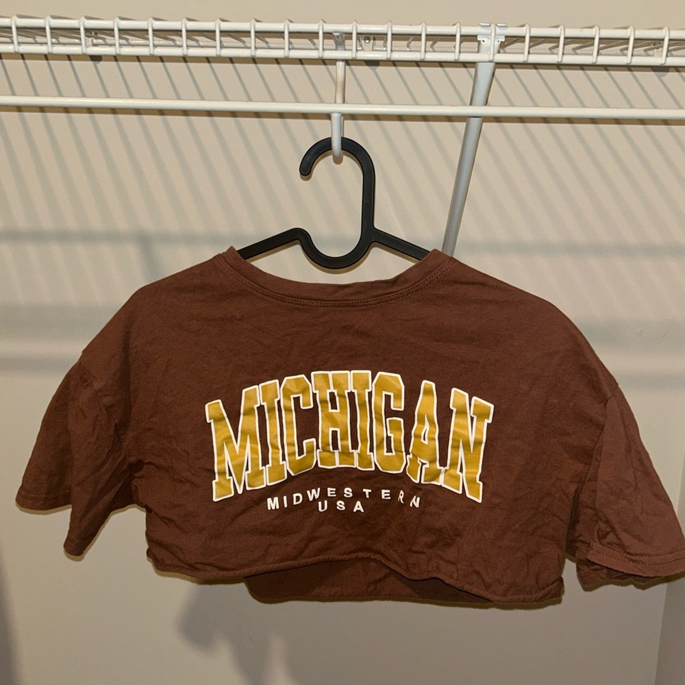 Brown Michigan Crop Top